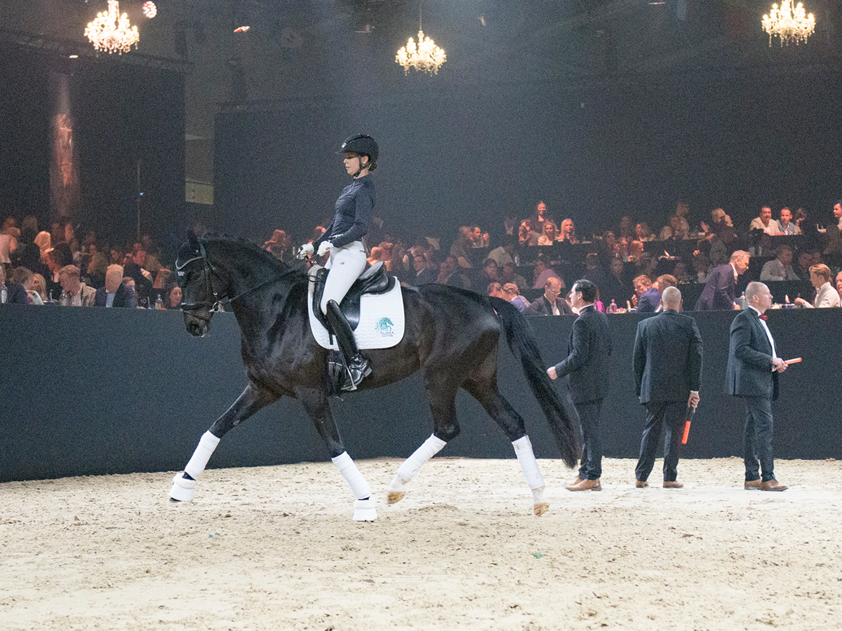 World-class showjumping