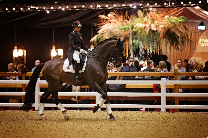 World-class showjumping